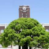 京都大学