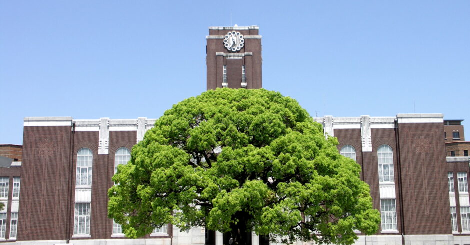 京都大学